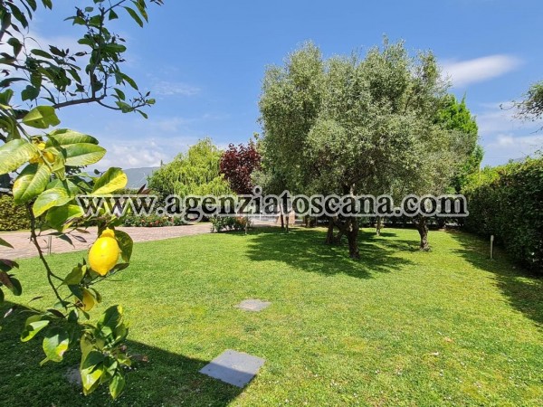 Villa in affitto, Forte Dei Marmi - Caranna -  9