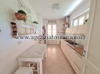 Villa in affitto, Forte Dei Marmi - Centrale -  13