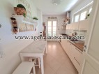 Villa in affitto, Forte Dei Marmi - Centrale -  14