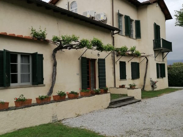 Rif. 2181 - villa singola in affitto a Forte Dei Marmi - Roma Imperiale | Foto 59