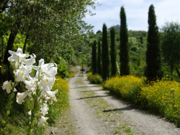 Riferimento SA209 - villa in Летняя аренда in Vezzano Ligure