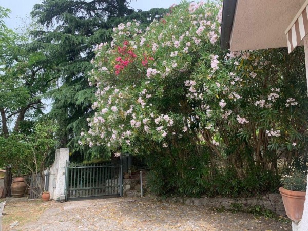 Rif. 2189 - villetta in affitto a Camaiore | Foto 22