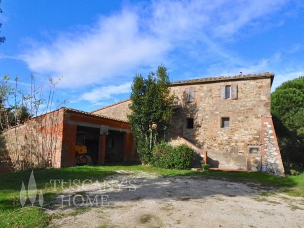 Riferimento AG191a - Azienda Agricola in Vendita a Trequanda