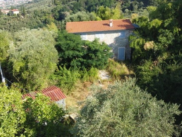 Riferimento SV017IC - country house in Покупая и продавая in Pietrasanta - Capriglia