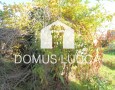 Domus Lucca - 