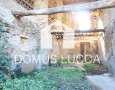 Domus Lucca - 