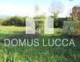 Domus Lucca - 