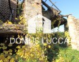 Domus Lucca - 