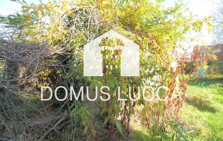 Agenzia Domus Lucca - 