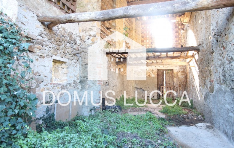 Agenzia Domus Lucca - 