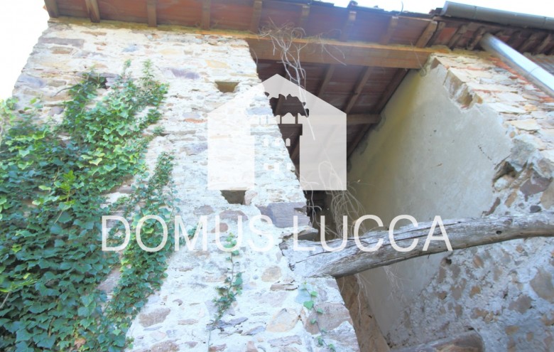 Agenzia Domus Lucca - 