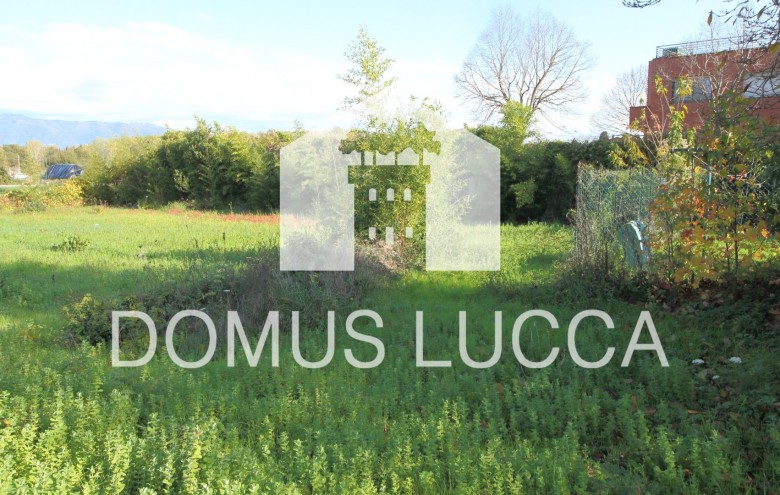 Agenzia Domus Lucca - 