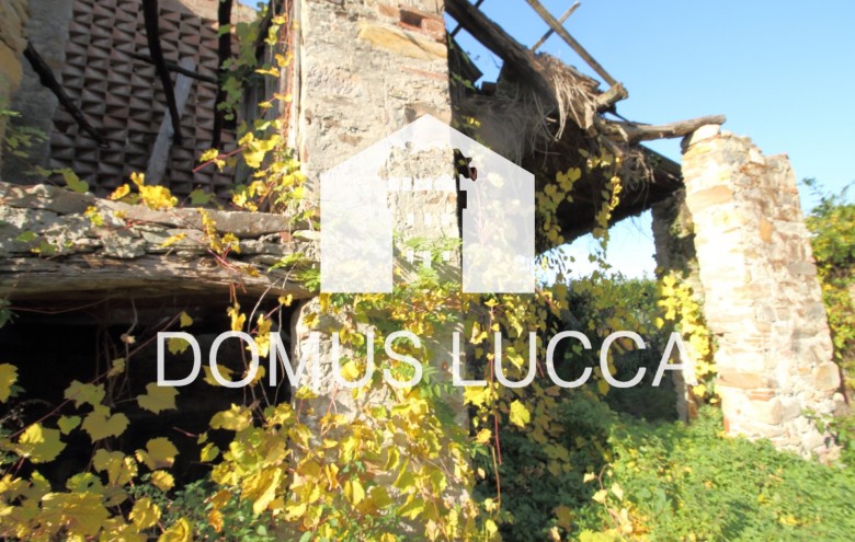 Agenzia Domus Lucca - 