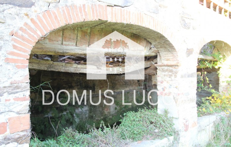 Agenzia Domus Lucca - 