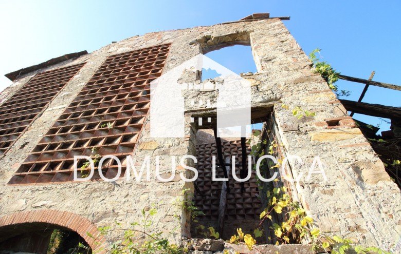 Agenzia Domus Lucca - 