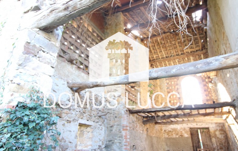 Agenzia Domus Lucca - 