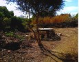ConTeCasa - 