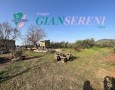 Giansereni Case - 