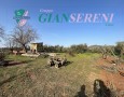 Giansereni Case - 