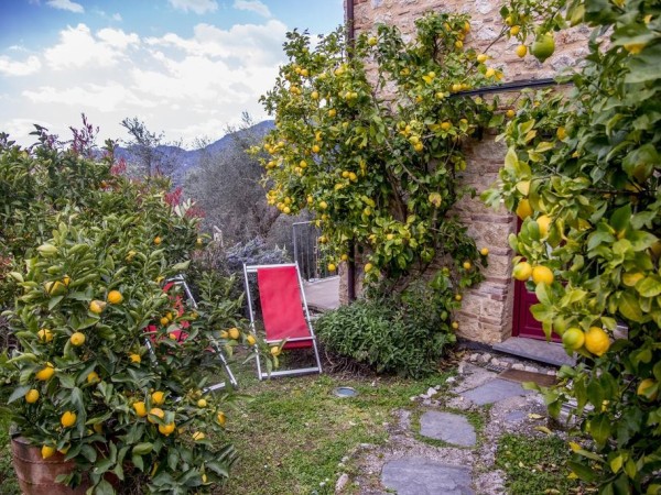Rif. V768 - villa singola in vendita a Camaiore | Foto 12