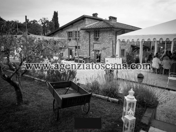 Rustic House for rent, Camaiore -  8