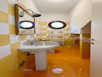 498 - foto 14