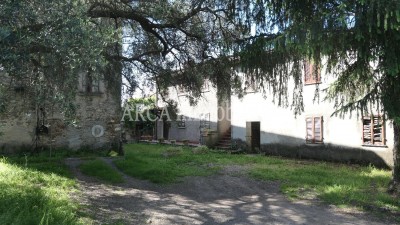 Rusticoin Vendita, Pietrasanta - Campagna - Riferimento: 3114