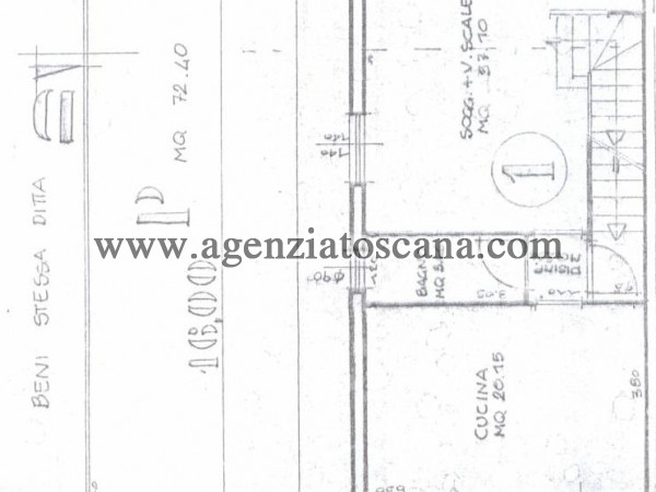 Villa Bifamiliare in vendita, Seravezza - Querceta -  3