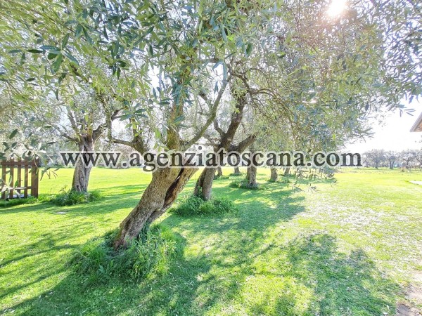 Rustico in vendita, Seravezza - Montiscendi -  13