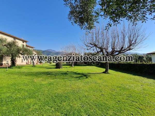 Rustico in vendita, Seravezza - Montiscendi -  29