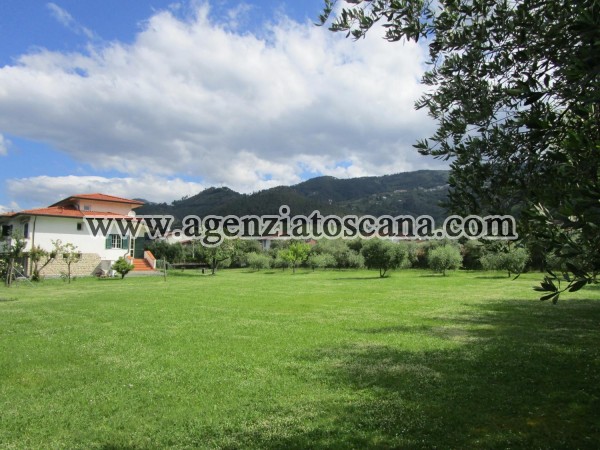 Villa for rent, Montignoso -  3