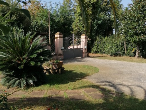 Rif. 2226 - villa singola in affitto a Camaiore - Secco | Foto 3