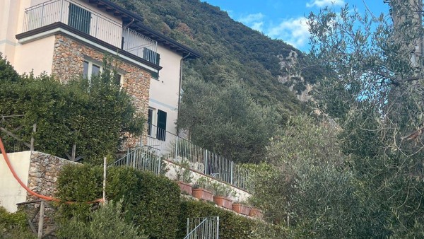 Rustico