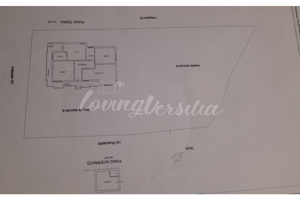 Agenzia Immobiliare LovingVersilia di Francesca Di Stefano - Planimetria 1