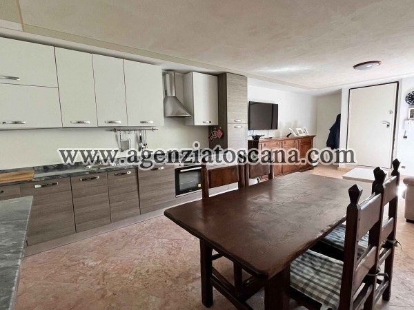 Two-family Villa for rent, Pietrasanta -  13