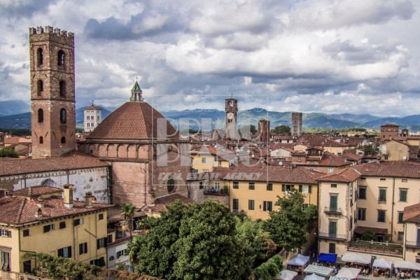 Shop For Sale In Lucca