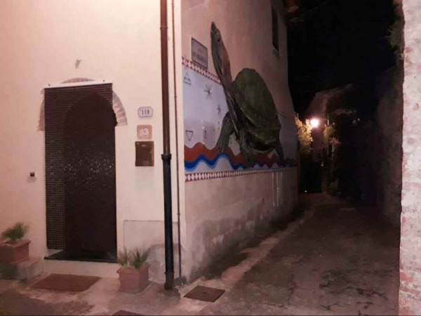 Rif. T001 - casa indipendente in affitto a Camaiore - Torcigliano | Foto 43