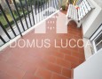 Domus Lucca - 