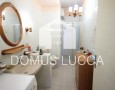 Domus Lucca - 