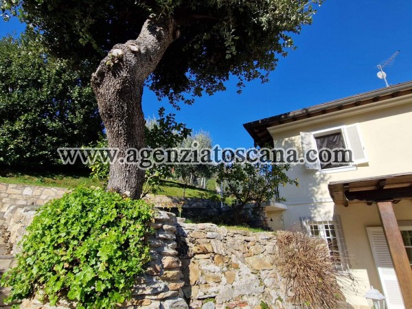 Villa for rent, Pietrasanta - Strettoia -  7