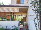 Villetta A Schiera in affitto, Forte Dei Marmi -  1