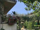 Villetta A Schiera in affitto, Forte Dei Marmi -  17