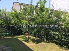 Villetta A Schiera in affitto, Forte Dei Marmi -  20