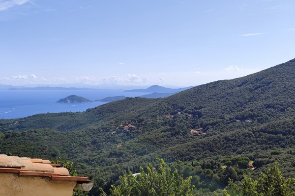 Two-room Apartment For Sale In