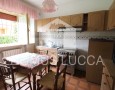 Domus Lucca - 