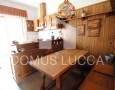 Domus Lucca - 