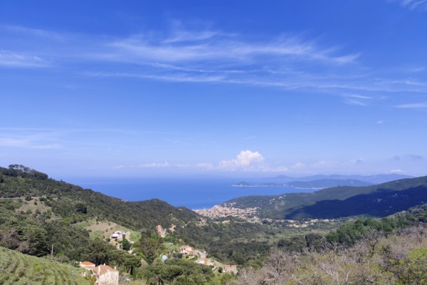 Apartment For Sale In Marciana