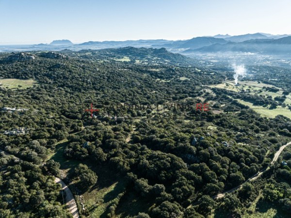 Terreno agricolo telti