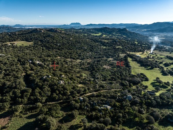 Terreno agricolo telti