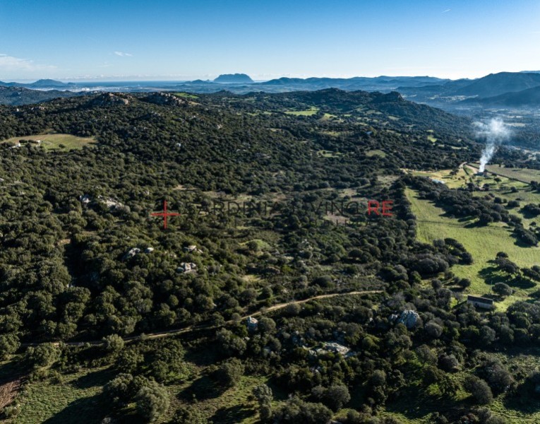 Telti aratena – terreno pano